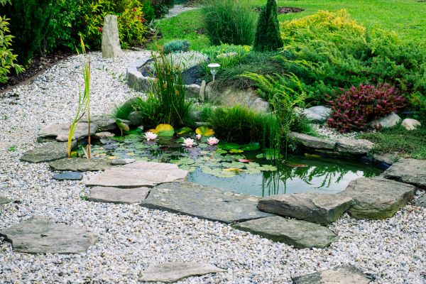 Water Garden Construction Service